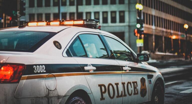 Greensboro, N.C., police seize 210 pounds of marijuana, 19 guns